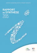 Rapport de synthèse - IN édition 2015
