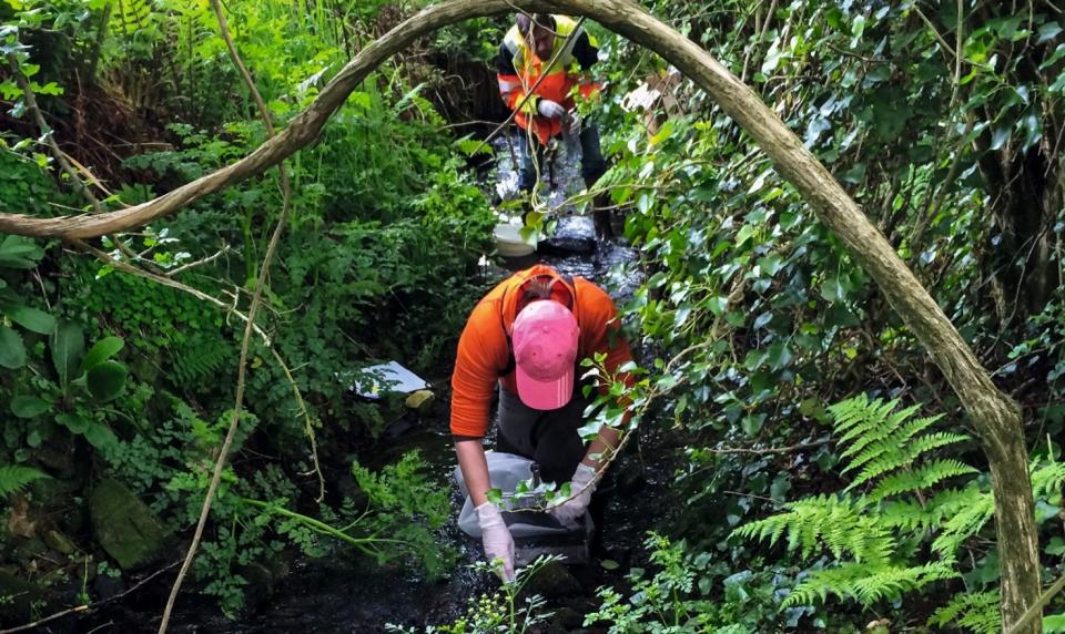 Hydrogéologie : la science des eaux souterraines au service de la surveillance