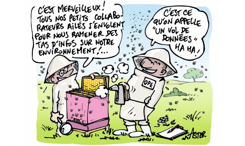 Quand les abeilles surveillent l’environnement